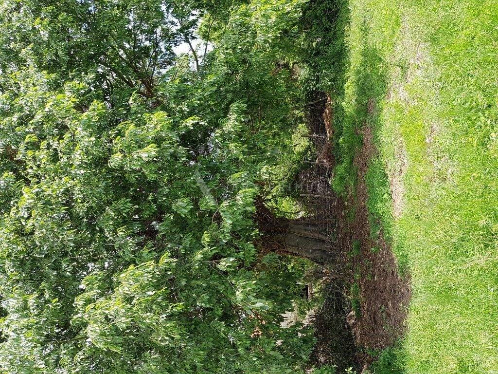 Gradjevinsko zemljiste, Prodaja, Groznjan, Martincici