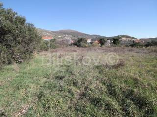 Agricultural plot, Sale, Kaštela, Kaštel Štafilić