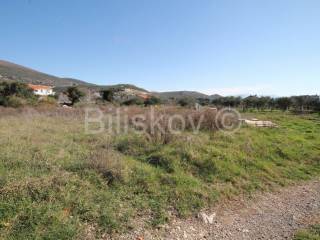Agricultural plot, Sale, Kaštela, Kaštel Štafilić