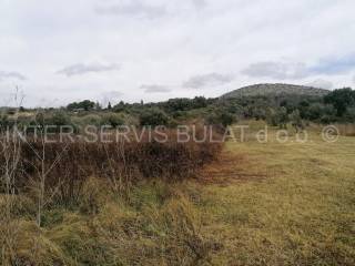 Agricultural plot, Sale, Šibenik, Šibenik