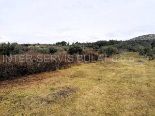 Agricultural plot, Sale, Šibenik, Šibenik
