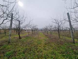 Agricultural plot, Sale, Velika Gorica - Okolica, Strmec Bukevski