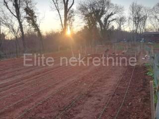 Agricultural plot, Sale, Ližnjan, Muntić