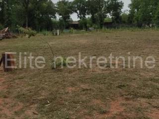 Agricultural plot, Sale, Ližnjan, Muntić