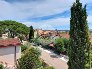 Detached house, Sale, Novigrad, Novigrad