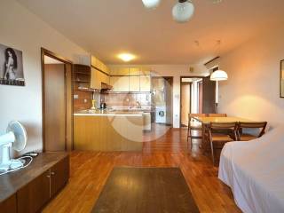 Detached house, Sale, Novigrad, Novigrad