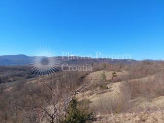 Agricultural plot, Sale, Rakovica, Rakovica