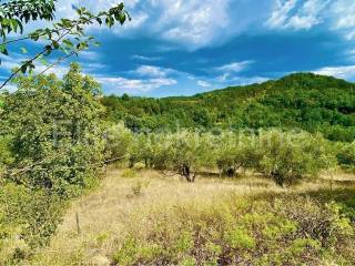 Plot for construction, Sale, Cerovlje, Draguć