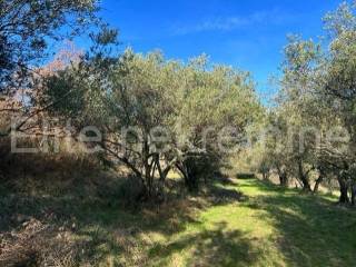 Plot for construction, Sale, Cerovlje, Draguć