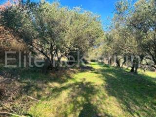 Plot for construction, Sale, Cerovlje, Draguć