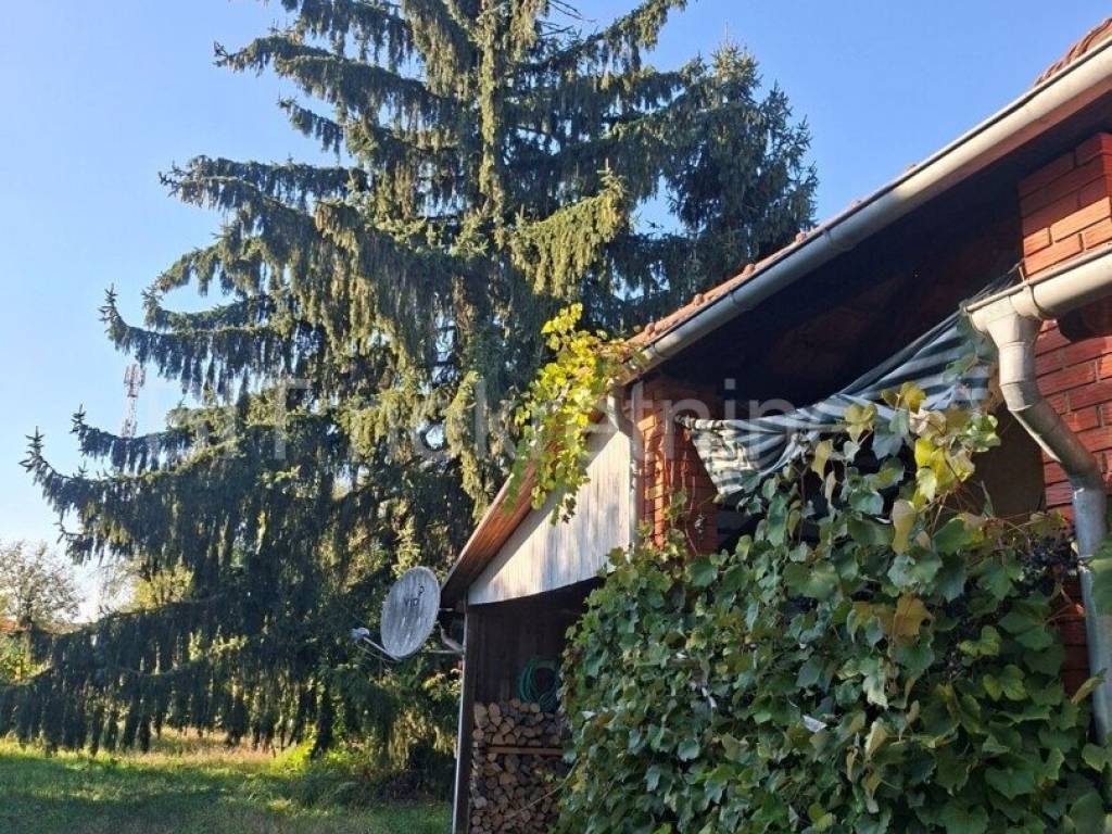 Koprivnica - Okolica, Reka