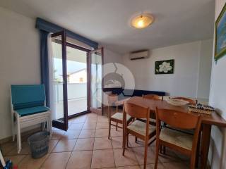 House by the sea, Sale, Novigrad, Novigrad