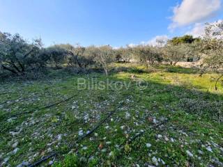 Plot for construction of mixed-use property, Sale, Seget, Seget Vranjica