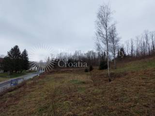 Plot for construction, Sale, Ribnik, Ribnik