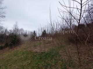 Plot for construction, Sale, Ribnik, Ribnik