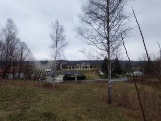 Plot for construction, Sale, Ribnik, Ribnik