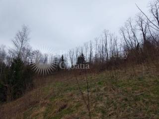 Plot for construction, Sale, Ribnik, Ribnik