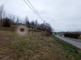 Plot for construction, Sale, Ribnik, Ribnik