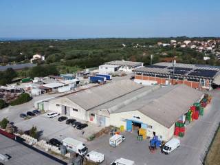 Umag, Umag