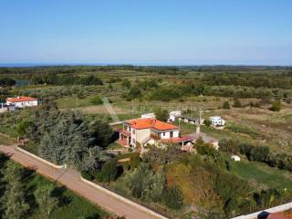 Brtonigla, Brtonigla