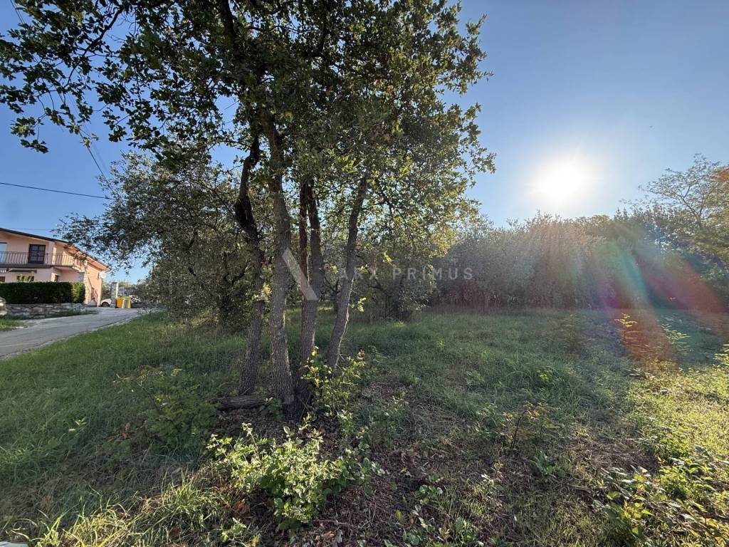 Buje, Plovanija