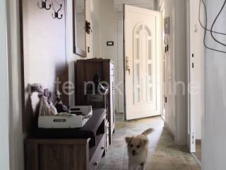 Flat in a building, Rent, Lovran, Lovran