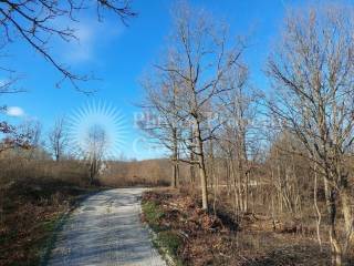 Plot for construction, Sale, Slunj, Slunj
