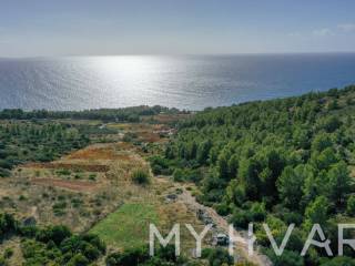 Poljoprivredno zemljiste, Prodaja, Jelsa, Ivan Dolac