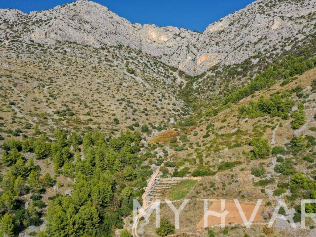 Poljoprivredno zemljiste, Prodaja, Jelsa, Ivan Dolac
