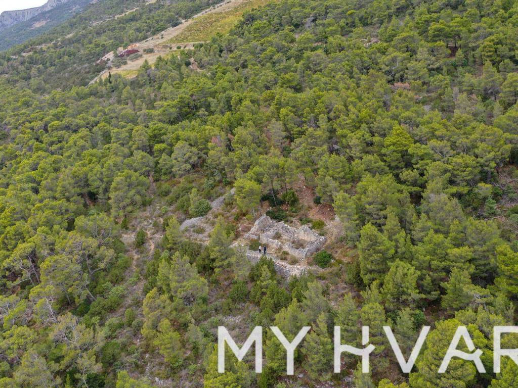 Poljoprivredno zemljiste, Prodaja, Hvar, Sveta Nedjelja