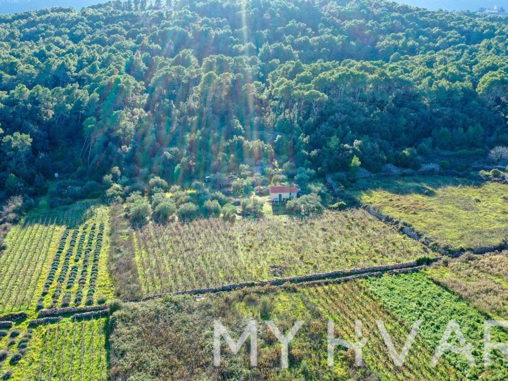 Poljoprivredno zemljiste, Prodaja, Jelsa, Jelsa