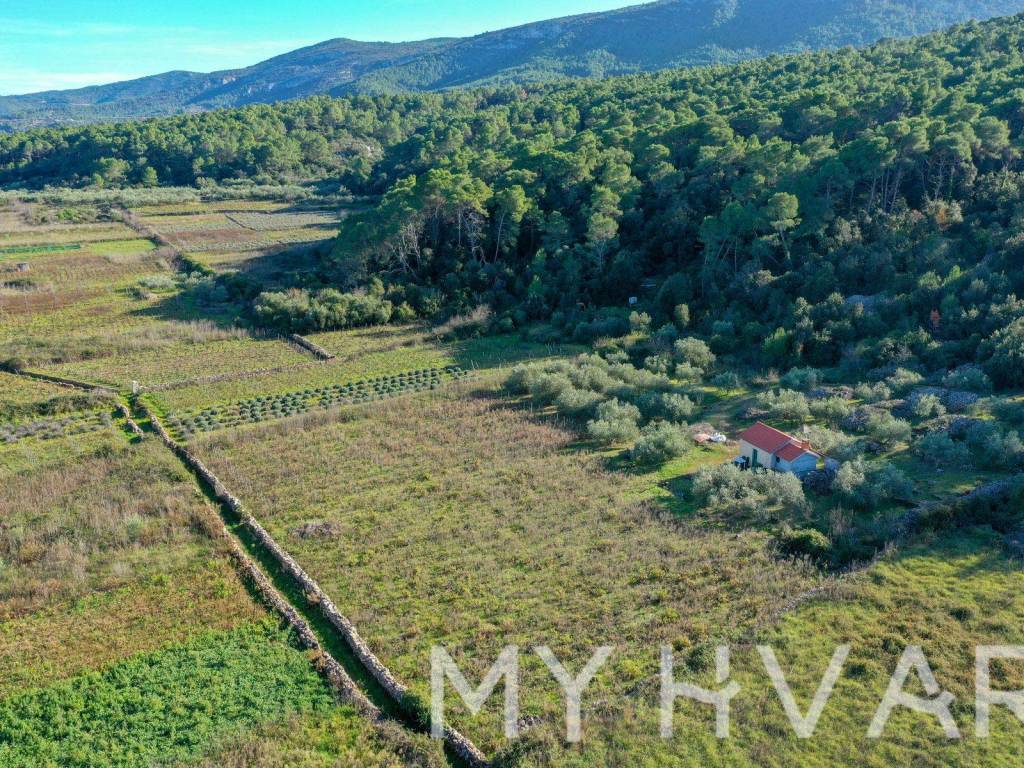 Poljoprivredno zemljiste, Prodaja, Jelsa, Jelsa