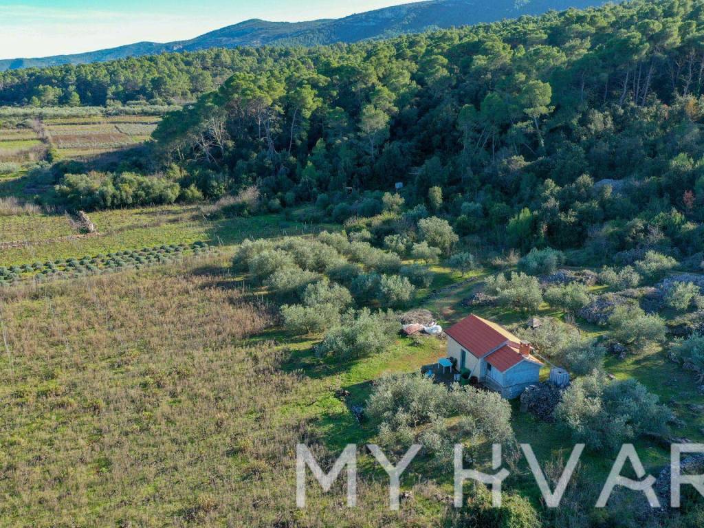 Poljoprivredno zemljiste, Prodaja, Jelsa, Jelsa