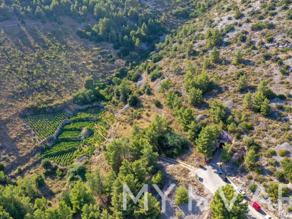 Poljoprivredno zemljiste, Prodaja, Jelsa, Zavala