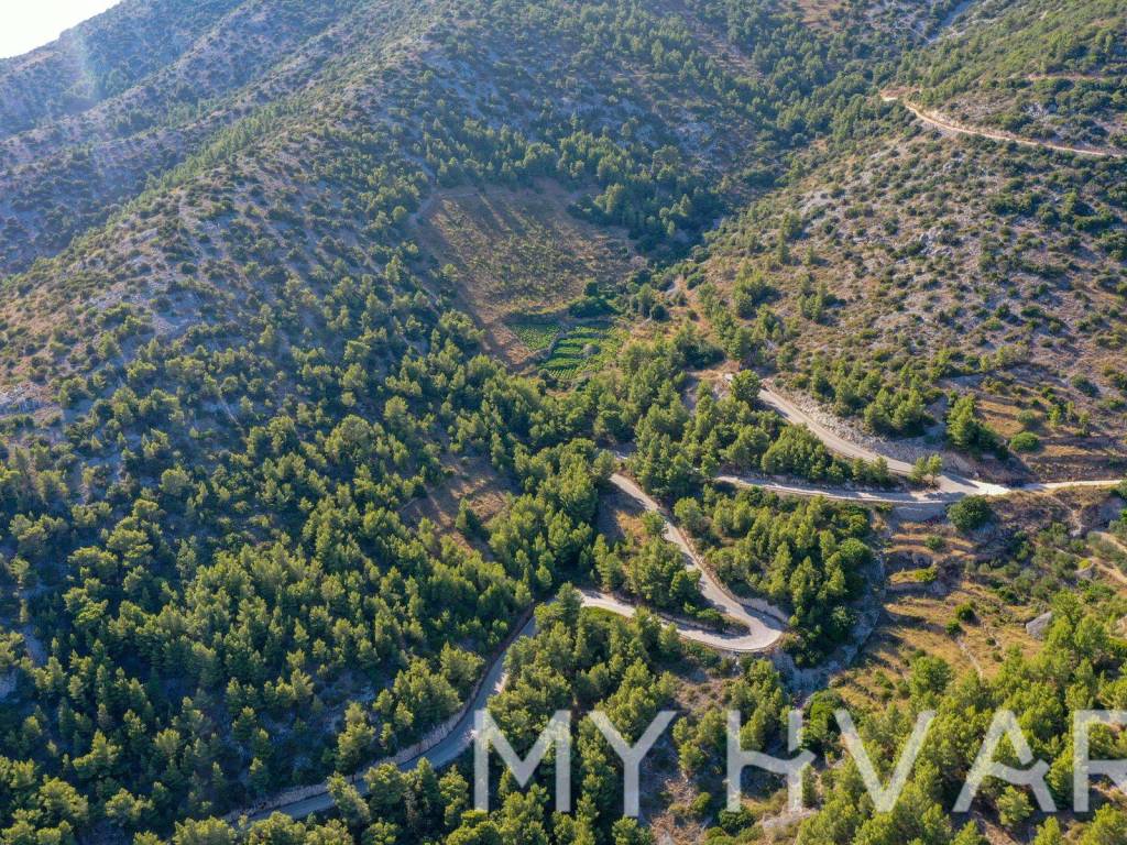 Poljoprivredno zemljiste, Prodaja, Jelsa, Zavala