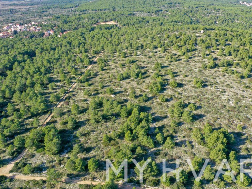 Poljoprivredno zemljiste, Prodaja, Jelsa, Vrboska