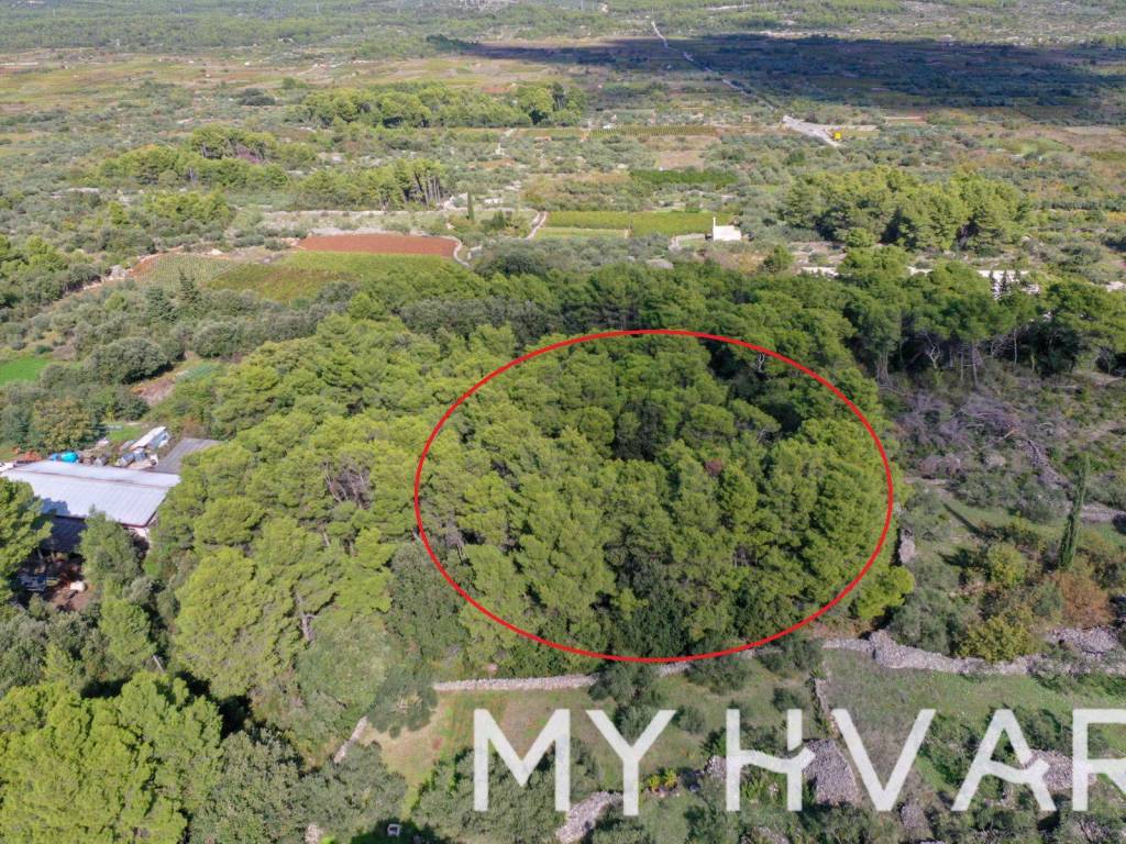 Gradjevinsko zemljiste, Prodaja, Stari grad, Vrbanj