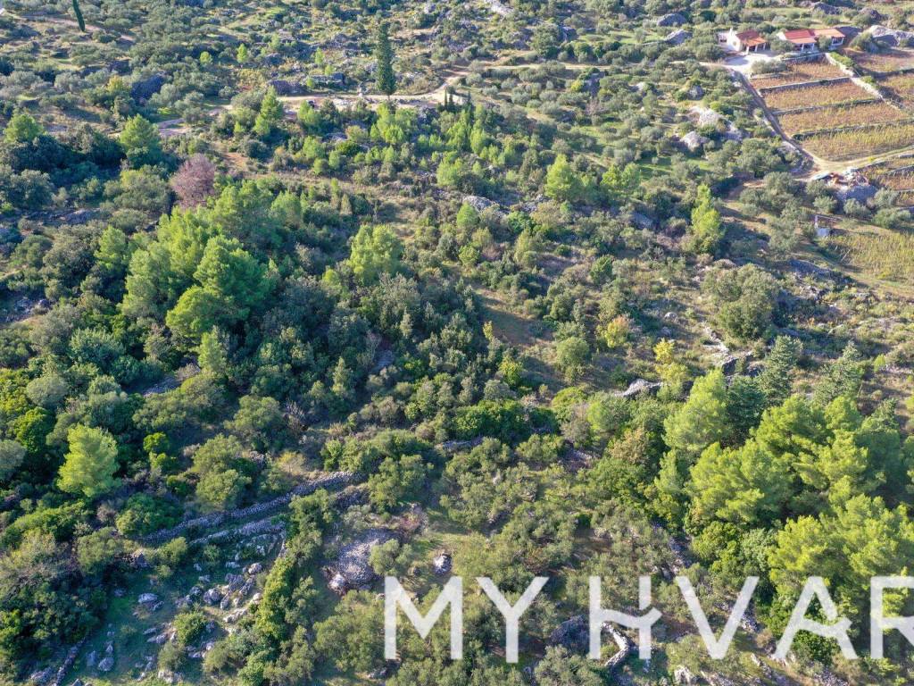 Gradjevinsko zemljiste, Prodaja, Jelsa, Pitve
