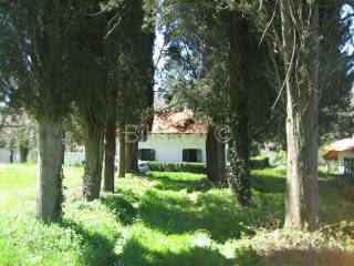 Detached house, Rent, Drniš, Drniš
