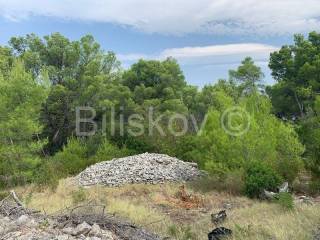 Agricultural plot, Sale, Supetar, Mirca