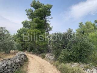 Agricultural plot, Sale, Supetar, Mirca