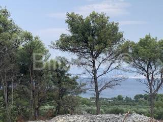 Agricultural plot, Sale, Supetar, Mirca