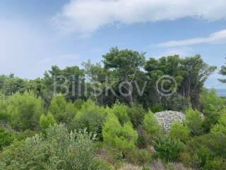Agricultural plot, Sale, Supetar, Mirca