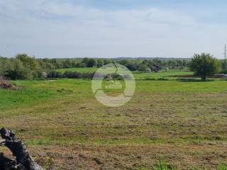 Plot for construction, Sale, Tar-Vabriga, Tar