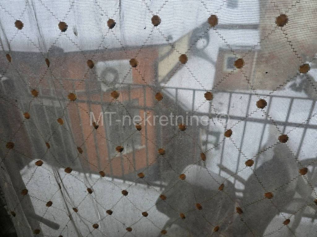 Bjelovar, Bjelovar