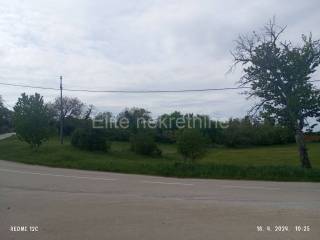 Plot for residential construction, Sale, Buje, Buje