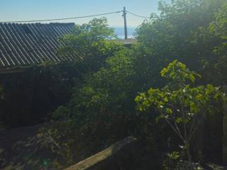 Starigrad, Starigrad