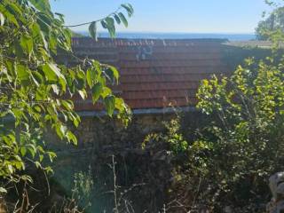Starigrad, Starigrad