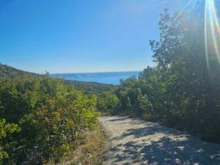 Starigrad, Starigrad