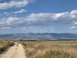 Apartment by the sea, Sale, Privlaka, Privlaka